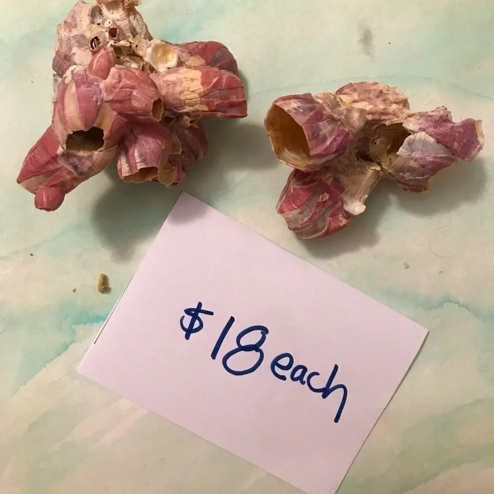 Custom shell bundle — PLEASE READ